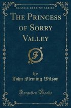 The Princess of Sorry Valley (Classic Reprint)