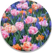 Wandcirkel Vrolijke Voorjaarsbloemen