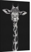 Giraffe op zwarte achtergrond - Foto op Canvas - 30 x 45 cm