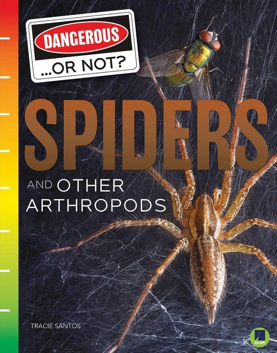 Foto: Dangerous or not spiders and other arthropods