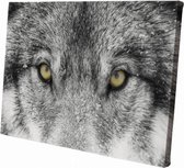 Wolf close-up | 30  x 20 CM | Wanddecoratie | Dieren op canvas | Schilderij | Canvasdoek | Schilderij op canvas