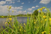 Fotobehang Riviertje de Meije Woerdense Verlaat 450 x 260 cm