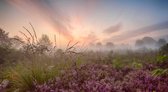 Fotobehang Heideveld zonsopkomst in de mist 350 x 260 cm - € 235,--