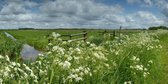 Fotobehang Arkenheem polder bij Nijkerk 450 x 260 cm - € 295,--