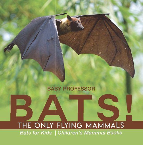 BATS! The Only Flying Mammals Bats for Kids Children's Mammal Books