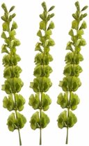 Set van 3x stuks kunstplanten Molucella takken 80 cm groen - kunstbloemen takken