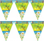 Set van 2x stuks vlaggenlijnen Hawaii Aloha thema 5 meter - Tropische feestartikelen versieringen
