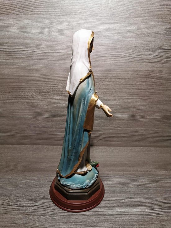 Beeld heilige maagd Maria | bol.