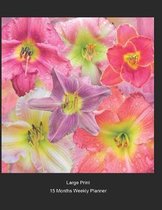 Large Print - 2020 - 15 Months Weekly Planner - Flowers - Daylilies In Bloom: January 2020 thru March 2021 - 15 Months Daily Dated Agenda Calendar Not