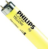 Philips TL-D Colored 18W (MASTER) | 59cm - Geel