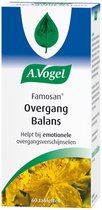 Famosan Overgang Balans tablet 60 st