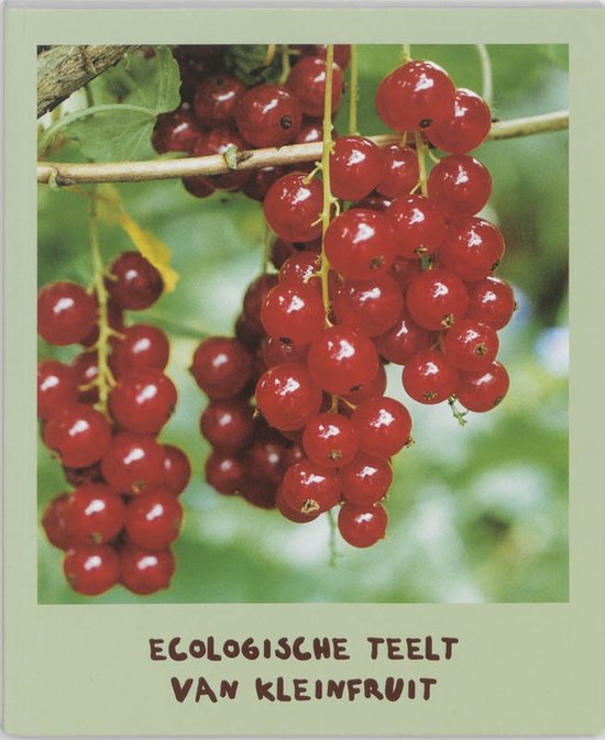 Cover van het boek 'De ecologische teelt van kleinfruit / druk 1'