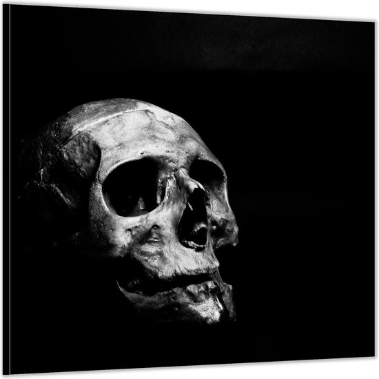 Dibond –Doodskop (zwart/wit)– 100x100 Foto op Aluminium (Met ophangl)