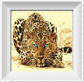 Artstudioclub®  Schilderen op nummer volwassenen luipaard met blauwe ogen Zonder lijst