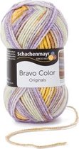 Schachenmayr Bravo Color 50 Gram - 2121