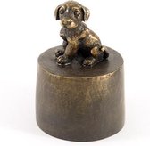 Teckel puppy zittend - Verbronsd Honden Asbeeld Dieren Urn Voor Uw Geliefde Hond