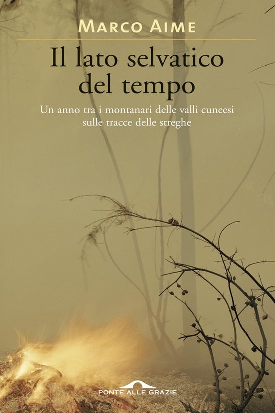 Il lato selvatico del tempo - cover
