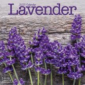 Lavender - Lavendel 2021