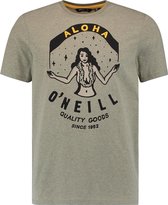 O'Neill T-Shirt Waimea - Winter Moss - Xs