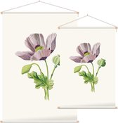 Slaapbol (Opium Poppy) - Foto op Textielposter - 90 x 135 cm