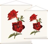 Crimson Petunia (Crimson Petunia White) - Foto op Textielposter - 45 x 60 cm