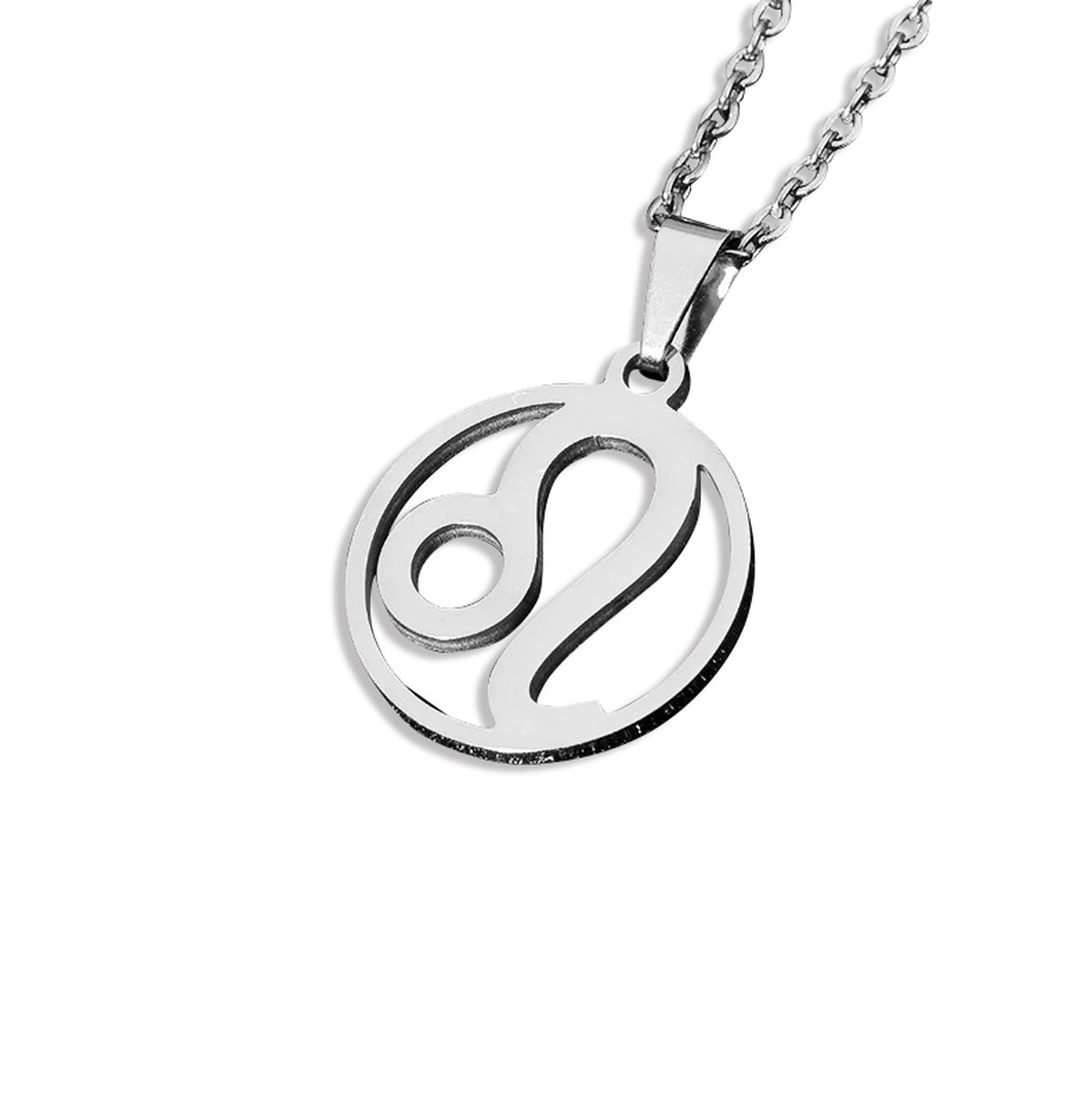Sterrenbeeld ketting zilverkleur Leeuw