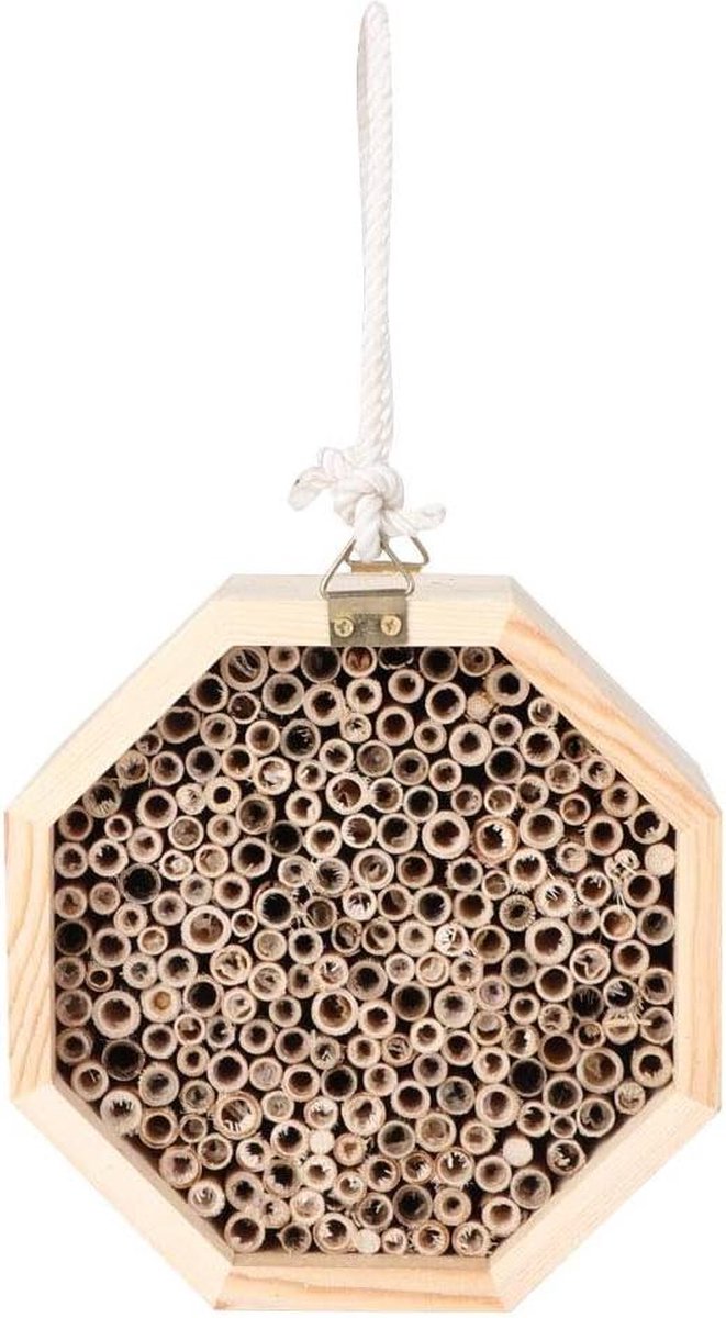 Insect Bijenhuis voor Outdoor Tuin Decoratie Houten Bug Room Hotel Nesting Box met Extra Bee Nesting