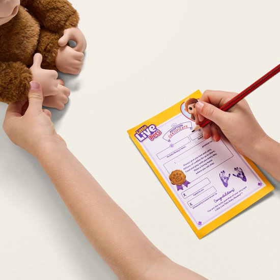 Kinderhanden vullen een adoptiecertificaat in voor een knuffel aapje.