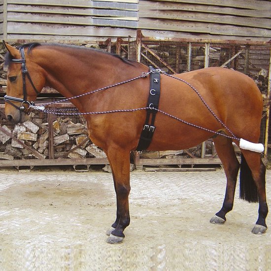 Foto: Harry s horse longeerhulpteugel navy rood full