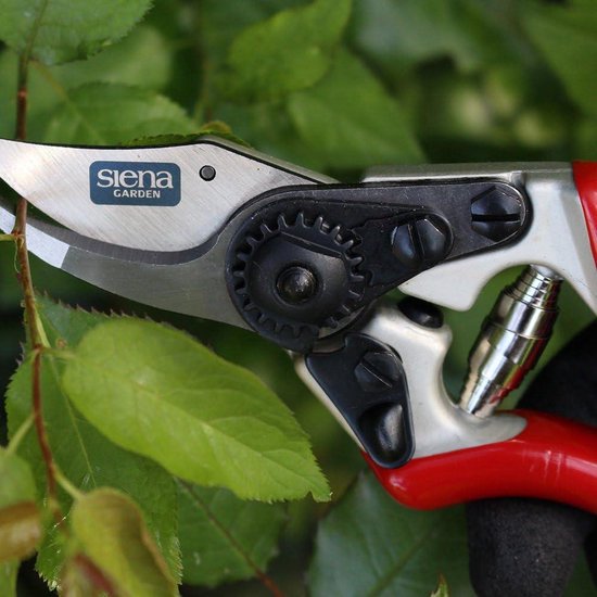 Premium Tuinschaar - Rozenbypassschaar 691526 van Kinzo — afbeelding 2