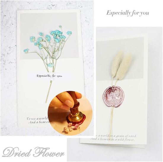 CRASPIRE Wax Seal Stempel, Zegellak Stempels Wereldkaart Retro Houten Stempel Wax Seal 25mm Verwijderbare Messing Seal Houten Handvat voor Enveloppen Uitnodigingen Bruiloft Versiering Fles Decoratie
