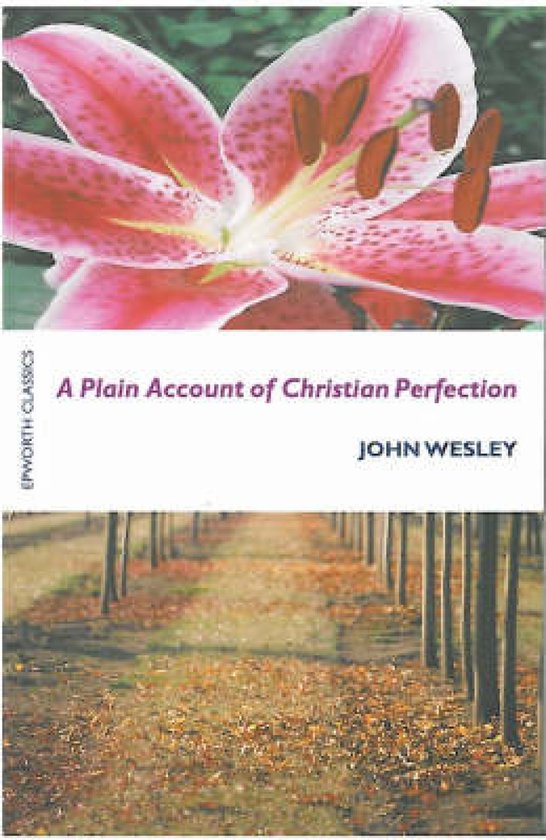 Plain Account Of Christian Perfection