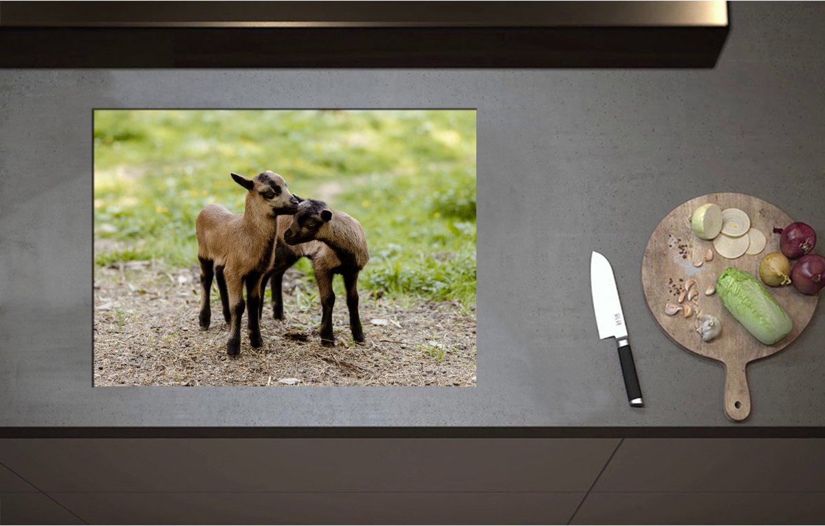 Inductieplaat Beschermer - Bruin met Zwarte Kussende Lammetjes - 70x51 cm - 2 mm Dik - Inductie Beschermer - Bescherming Inductiekookplaat - Kookplaat Beschermer van Zwart Vinyl