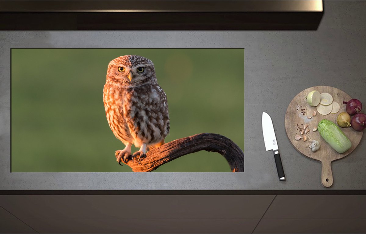 Inductieplaat Beschermer - Bruine Steenuil Zittend op Smalle Tak - 95x51 cm - 2 mm Dik - Inductie Beschermer - Bescherming Inductiekookplaat - Kookplaat Beschermer van Zwart Vinyl
