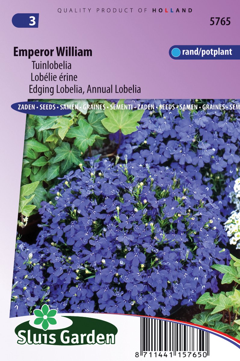 Sluis Garden - Lobelia Emperor William