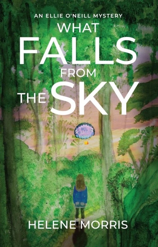 what-falls-from-the-sky-ebook-helene-morris-9798988473732-boeken
