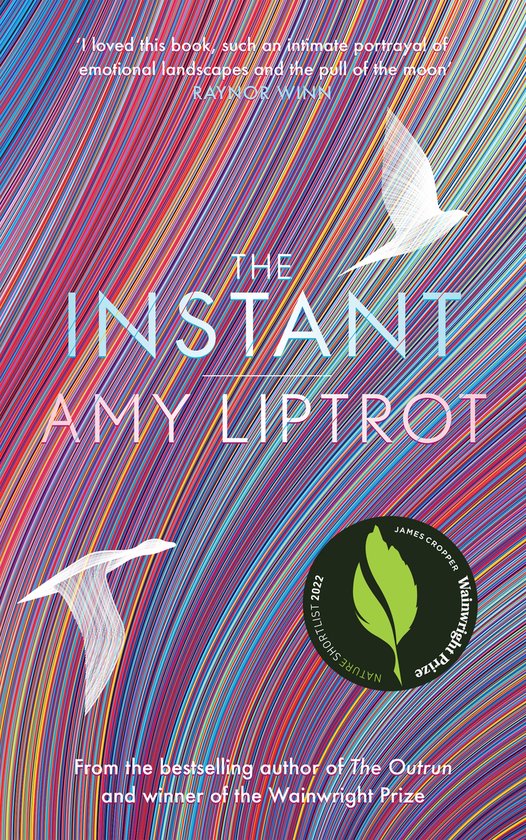 Livre "The Instant" par Amy Liptrot avec des lignes colorées stylisées et des oiseaux en vol.