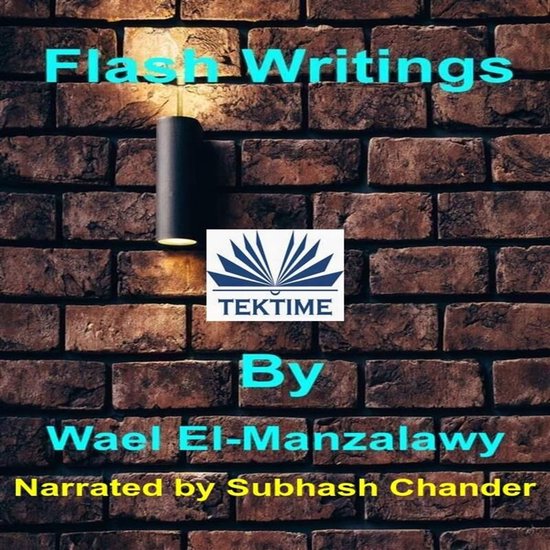 Flash Writings - cover