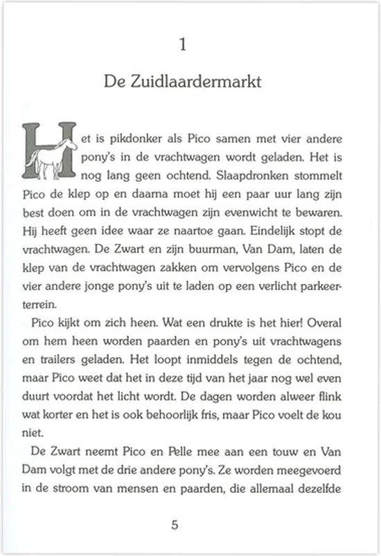 Een pagina uit een boek met een illustratie van een paardje en tekst.