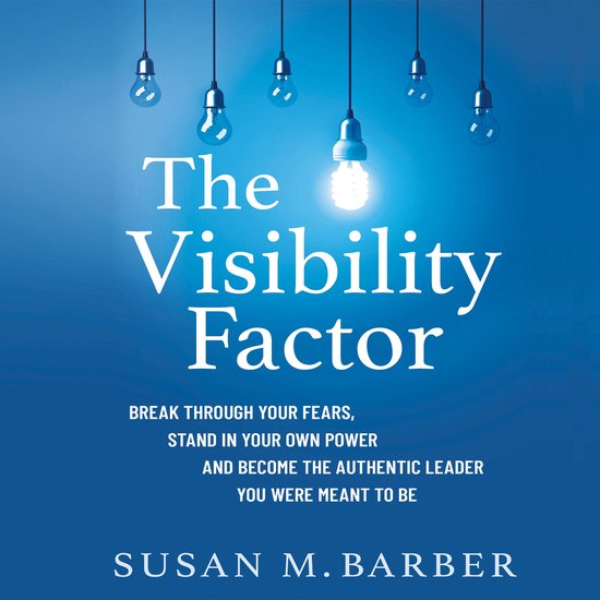 The Visibility Factor - cover