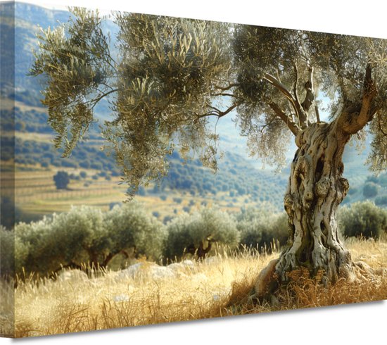 Décoration murale arbre - Portrait nature - Tableau toile Nuages ​​- Tableau moderne - Tableau toile salon - Décoration chambre toile 70x50 cm