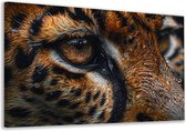 tijger schilderijen - dier schilderijen - Canvas schilderijen vacht - Muurdecoratie modern - Muurdecoratie canvas - Decoratie slaapkamer canvas 90x60 cm