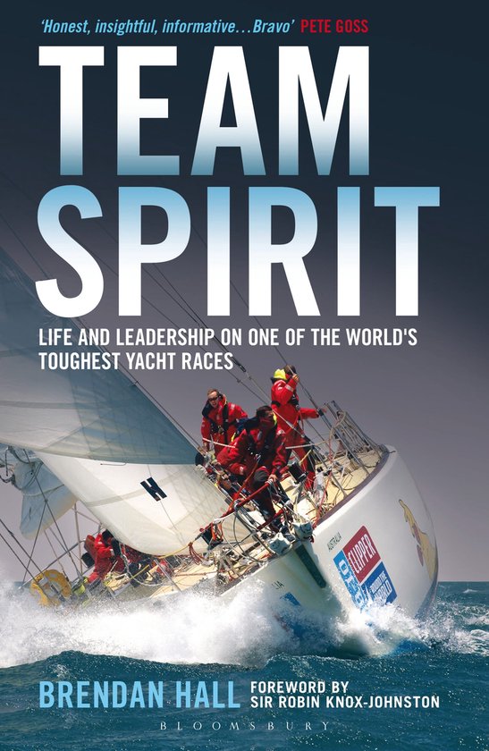 Team Spirit - cover