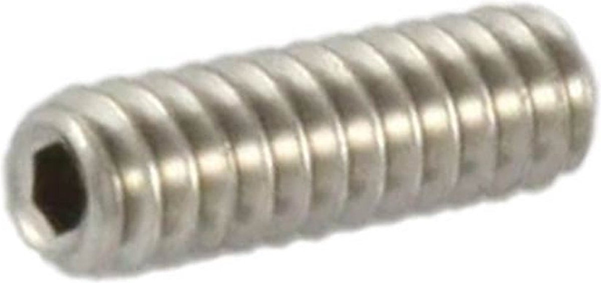 Allparts GS3384005 Brughoogte Stelschroeven voor Telecaster® – RVS (Set van 8)
