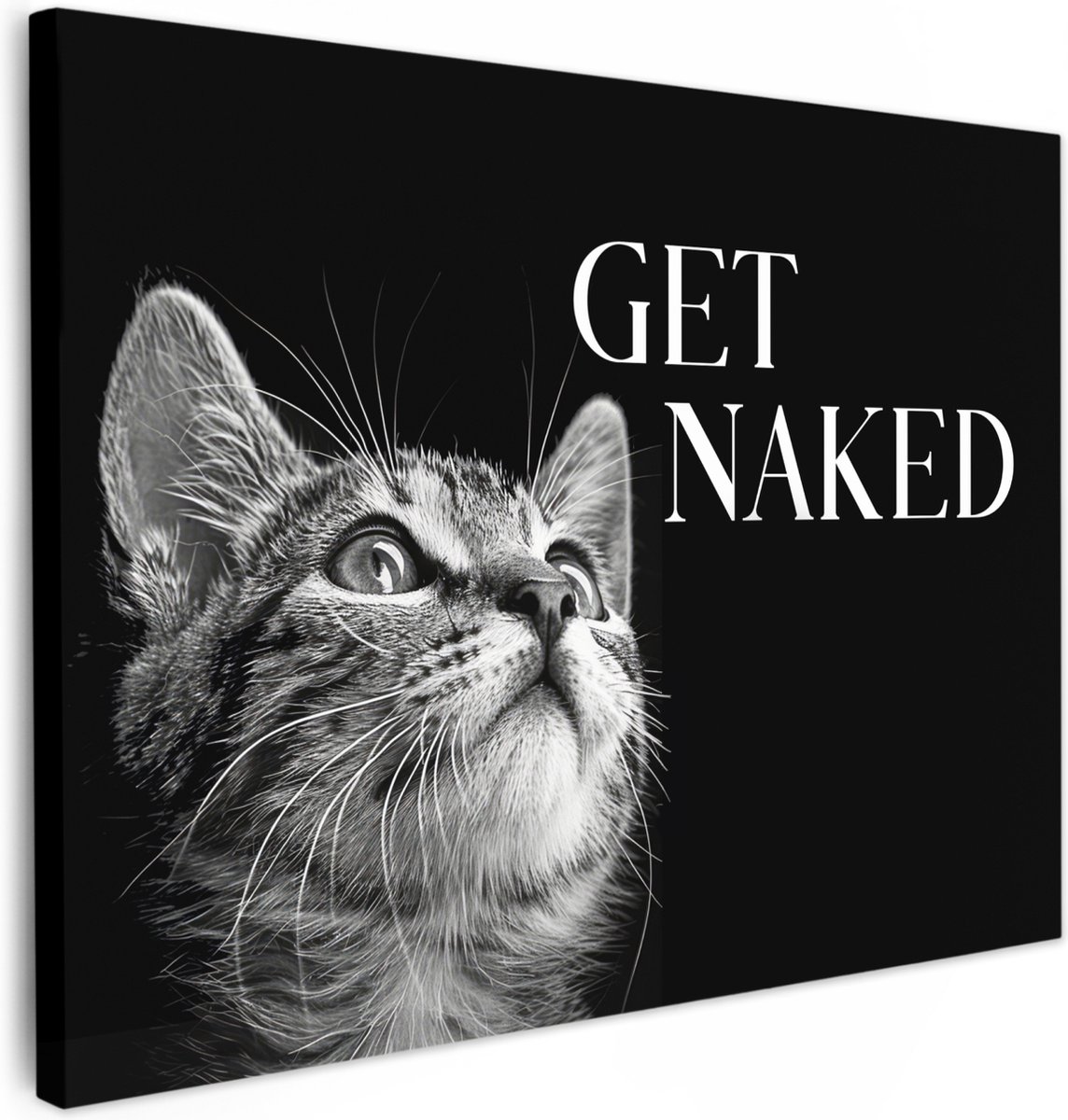 Canvas schilderij 40x30 cm - Wanddecoratie badkamer Kat - Dieren - quote - Get naked - Zwa