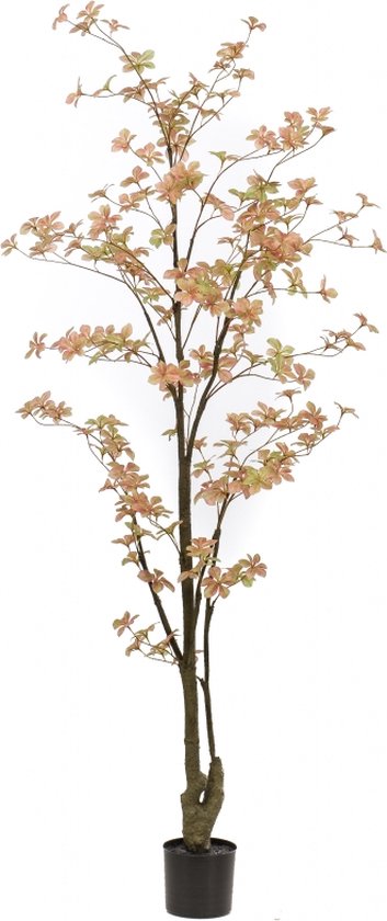 Kazeila Kunstplanten voor binnen, 150 cm, cederhout met pot