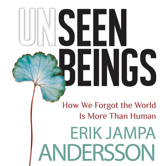 Unseen Beings - cover