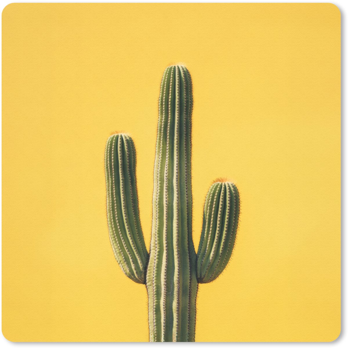 Muismat 30x30 cm - Mousepad Cactus - Groen - Minimalistisch - Muismatten