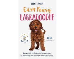 Easy Peasy Labradoodle