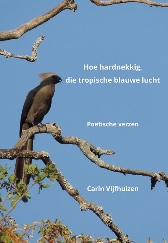 Hoe hardnekkig, die tropische blauwe lucht - cover